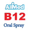 B12-logo-removebg-preview